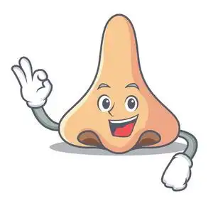 好鼻子字符卡通风格照片