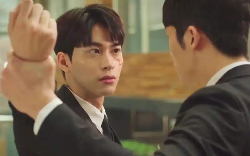 【韩剧|腐剧】傲娇甜心大少爷和他的忠犬保镖|财阀继承人和贴身保镖的