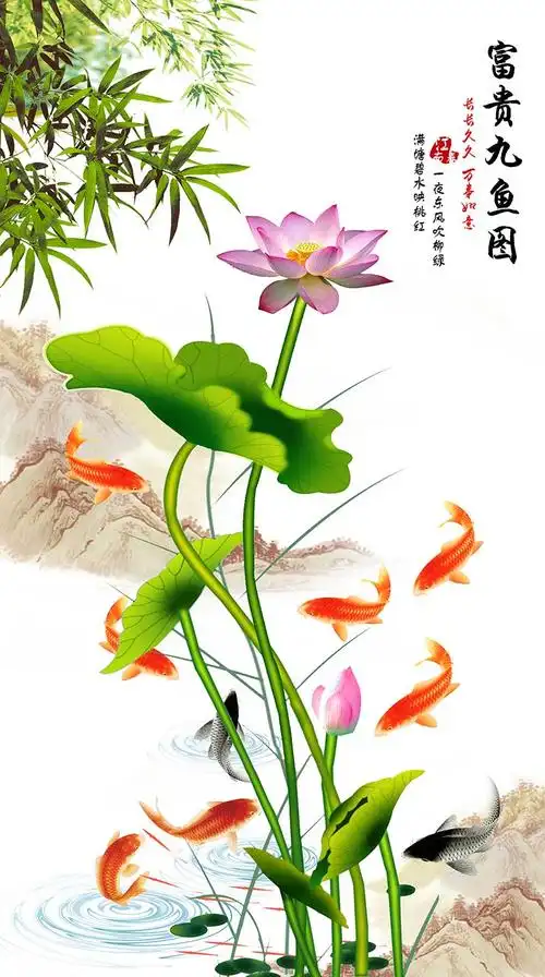 800_1434竖版 竖屏