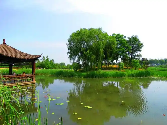 长阳湿地公园景色宜人风景如画