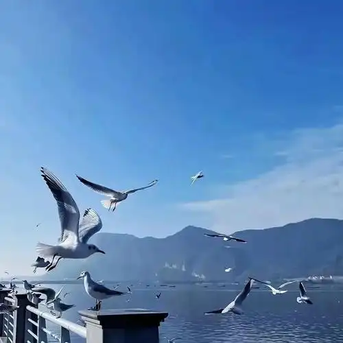 一组很夏天的背景图,夏天背景图片大全 唯美(适合夏天用的高级感背景