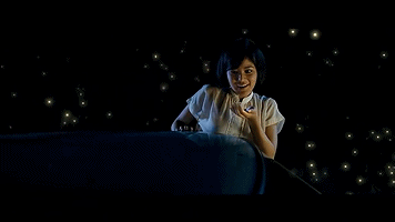 用事实证明萤火虫是所有浪漫动人的bmg