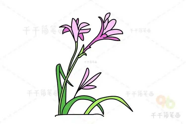 兰花简笔画如何画