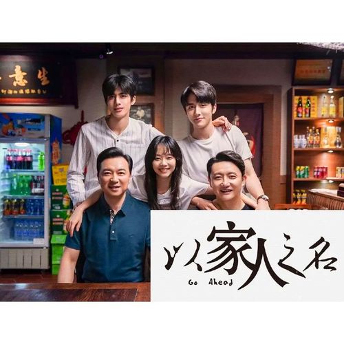 家庭情感电视剧 以家人之名 dvd碟片光盘 谭松韵,宋威龙