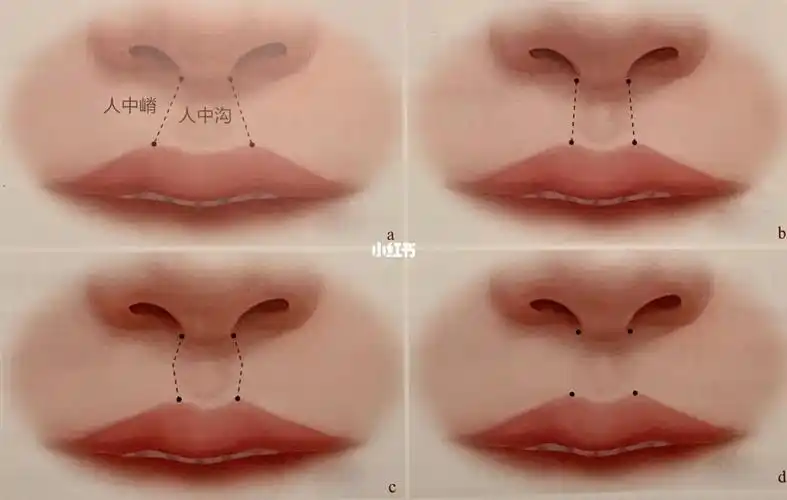 人中形态