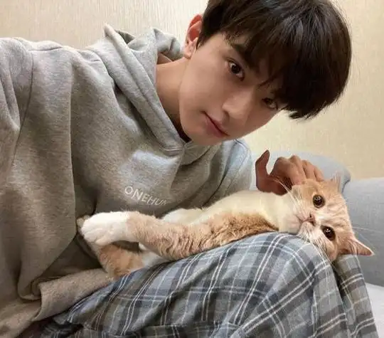 啊这是男高吧林一头像