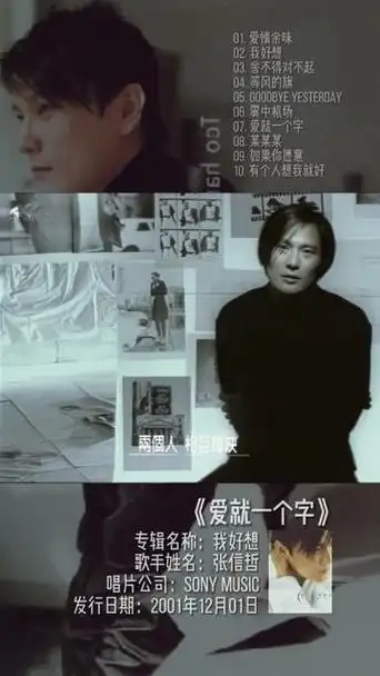 张信哲—爱就一个字,好吧,大的来了,当初第一次看这个mv觉得tmd帅呆了