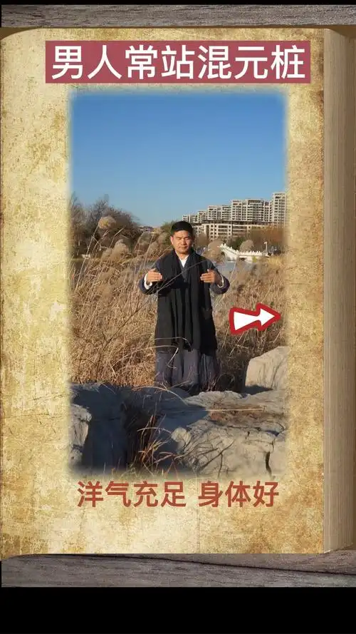 太极禅源洗髓功叶伟老师示范混元桩