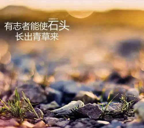 最美好的年纪应该努力奋斗