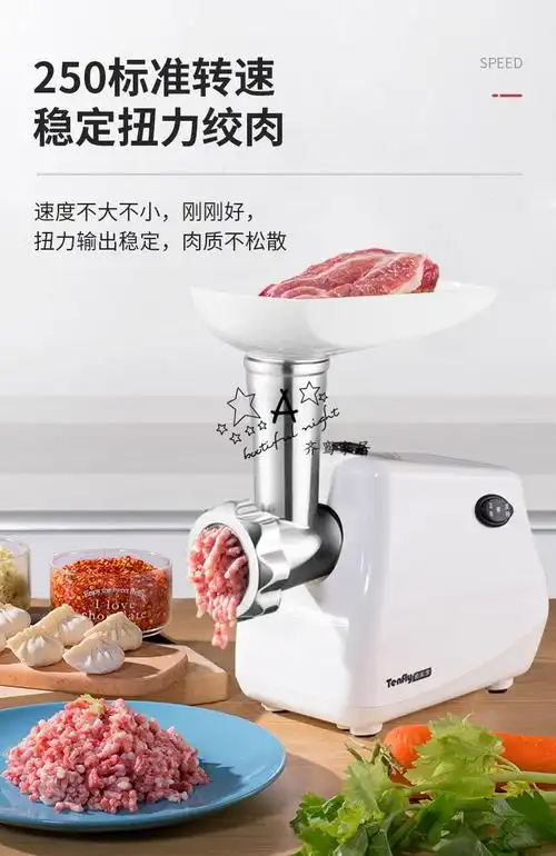 碎骨机喂狗德国tenfly家用商用电动绞肉机小型不锈钢