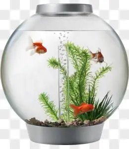 鱼缸