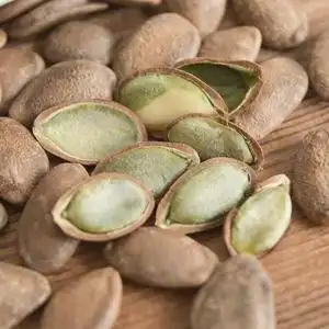 大别山瓜蒌籽瓜蒌子野生瓜蒌籽坚果特产零食