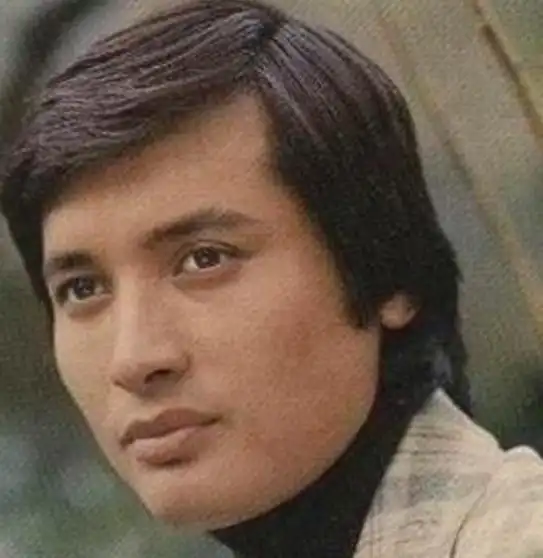 秦汉林,演员,被称为"琼瑶第一美男",凭借《长情万缕》获得第12届金马