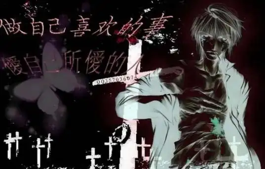 葬爱家族非主流文字,葬爱家族经典语录图2