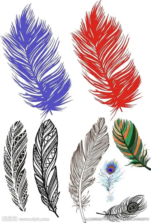羽毛设计图__广告设计_广告设计_设计图库_昵图网nipic.com