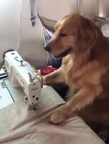 当前浏览器不支持最新的video播放 00:00 00:10 00:10 为您推荐: 小伙