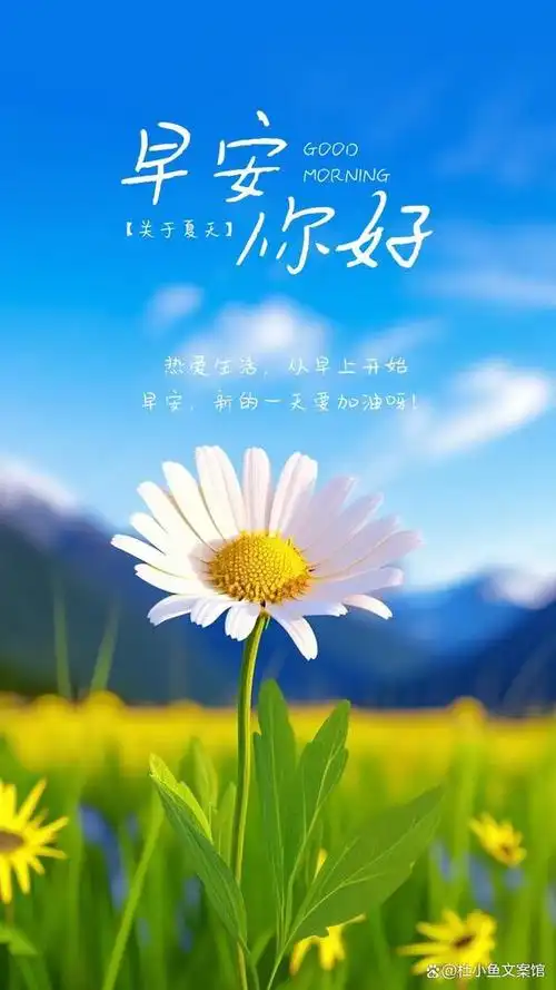 早安心语|阳光暖心的早安语录,送给追求美好生活的你!