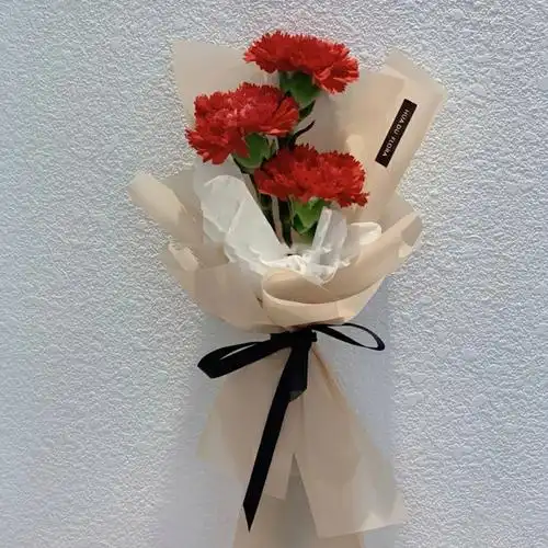 3朵红色康乃馨精美花束包装