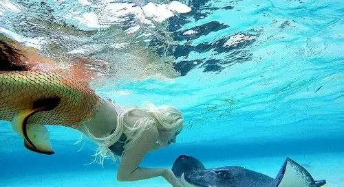 现实版美人鱼水中上演奇幻之旅组图