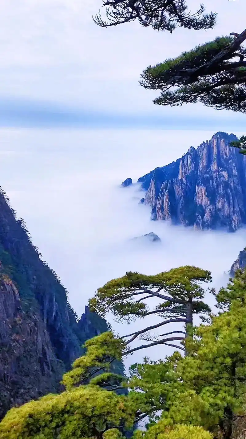 黄山云海#云雾缭绕人间仙境 #山水如画 #仙境云海 #旅游@ - 抖音