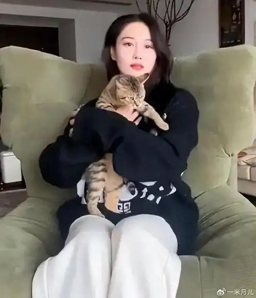 何捷|张馨予|二胎_新浪新闻