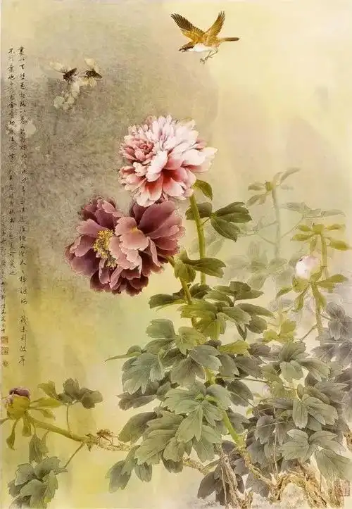 花鸟画|工笔画|绘画_网易订阅