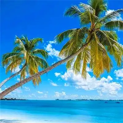 男人专用头像图片 高清好看的个性成熟男人专用头像