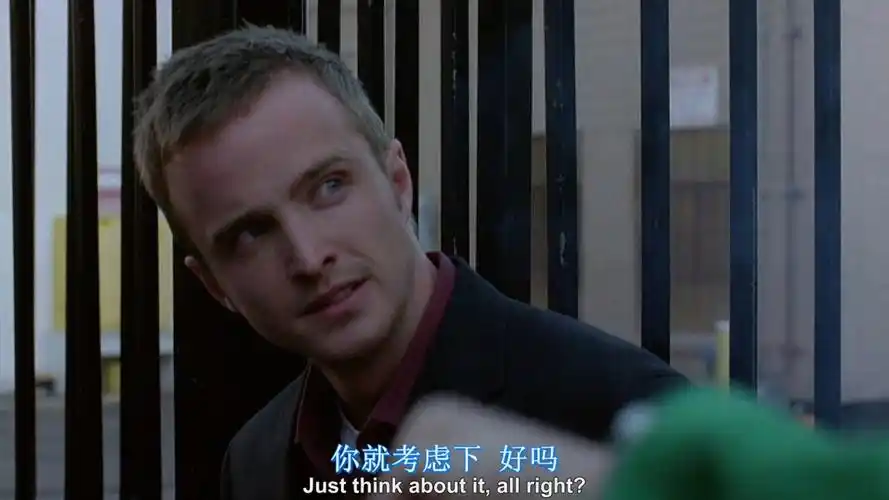 绝命毒师第一季5-1