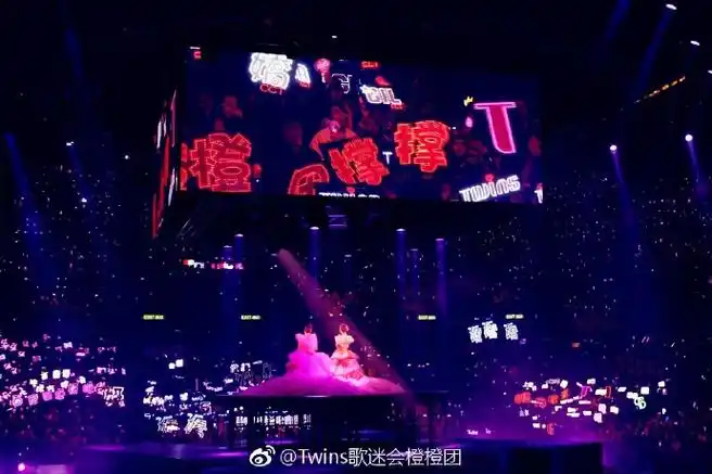 twins lol演唱会一众粉丝高举灯牌盛况,好美的画面05@鍾欣潼@蔡卓妍