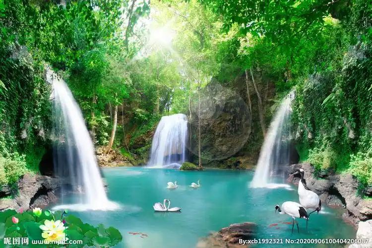 山水风光自然风景天鹅湖丹顶鹤图片