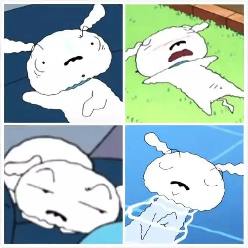 蜡笔小新家的小白如何变身超级英雄?