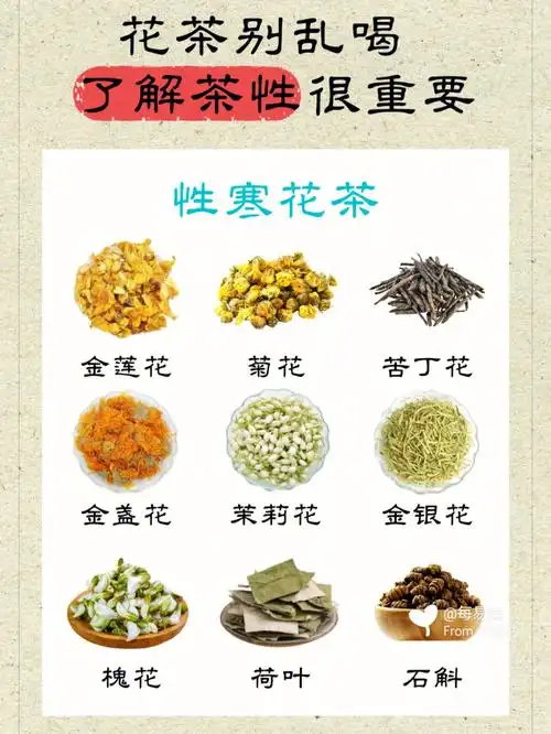 花茶别乱喝60了解茶性很重要78