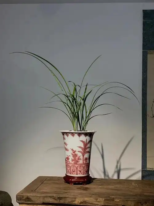 克勤堂釉里红兰花盆