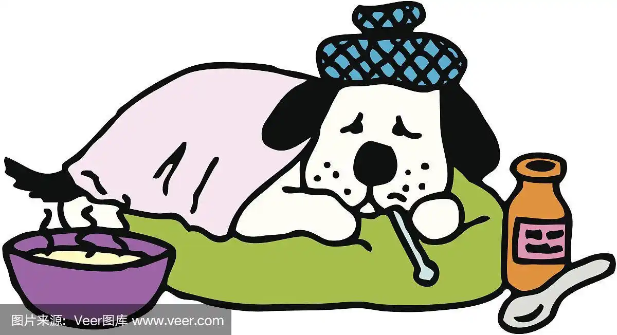 生病,狗,健康保健,汤,动物
