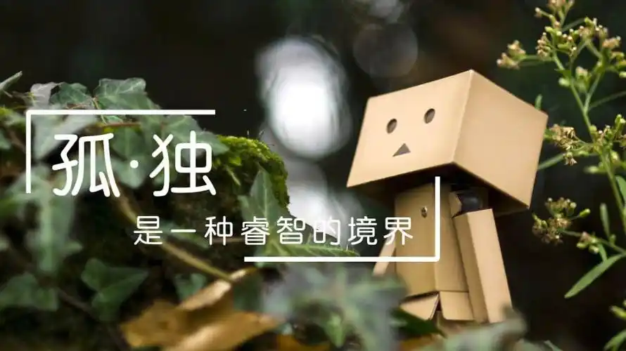 孤独是内心宁静的享受