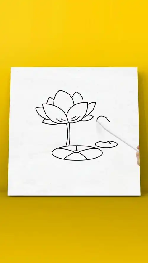 荷花简笔画来了画荷花,出淤泥而不染