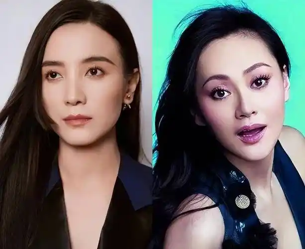 宋佳:靠"吊带"上位,与已婚名导在一起,43岁的她活的又酷又飒_表演_小