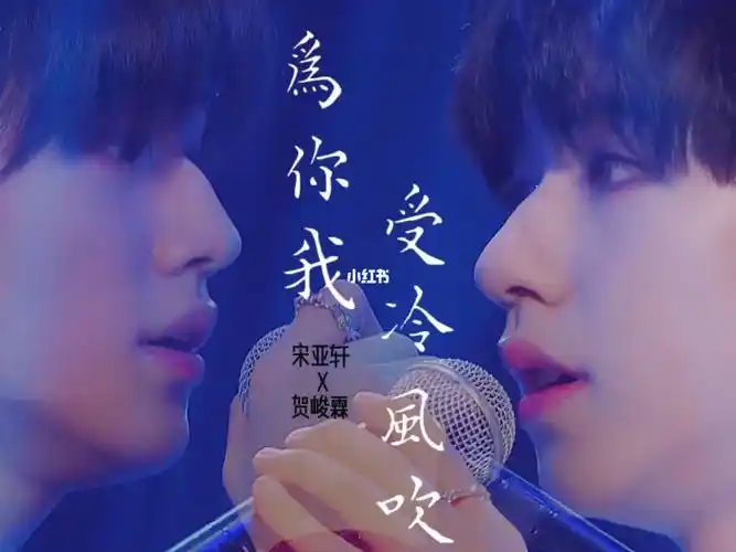为你我受冷风吹宋亚轩贺峻霖
