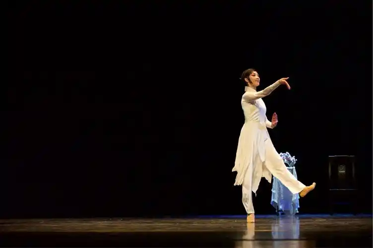 第十一届中国舞蹈《荷花奖》古典舞评奖剧照(一)