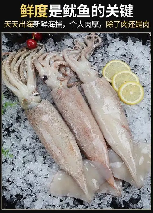 超大鱿鱼鲜活深海捕冷冻水产野生新鲜大鱿鱼尤鱼整只烧烤批发比里德斯