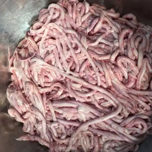 当日新鲜1斤猪鞭冷冻生鲜2斤农家土猪鞭3斤精品土猪鞭当日新鲜现货绝