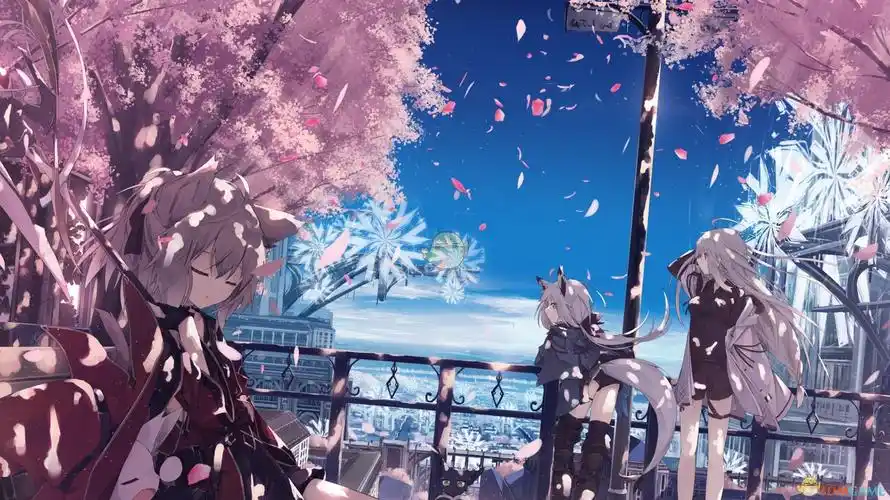 《wallpaper engine》白上吹雪樱之国壁纸