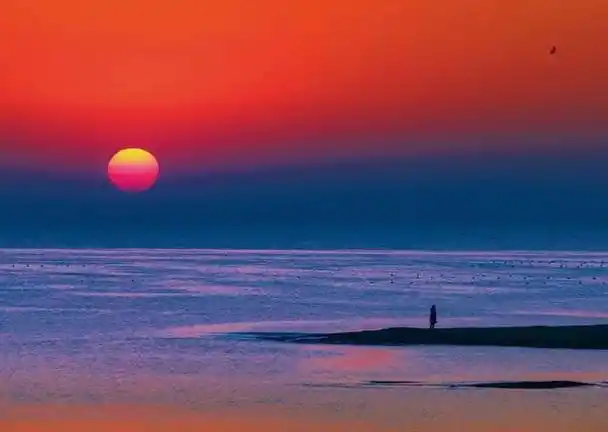 当红日升起时"日出初光先照" 不可错过的美景03@木鱼村长海鸥翔集,盖