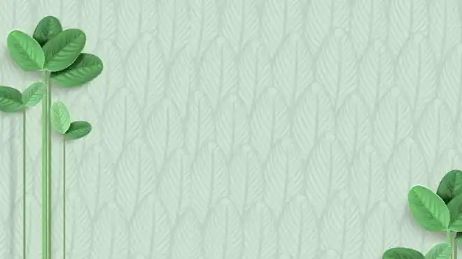 6张清新绿色叶子ppt背景图片