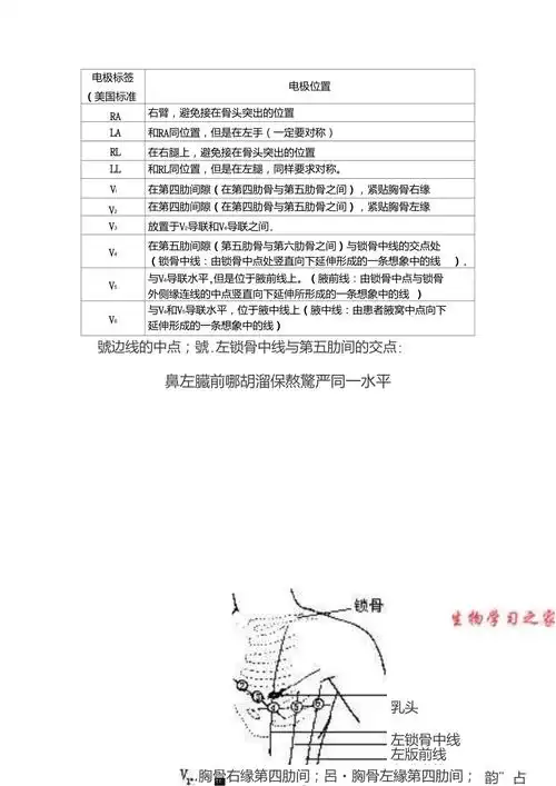 心电图导联位置