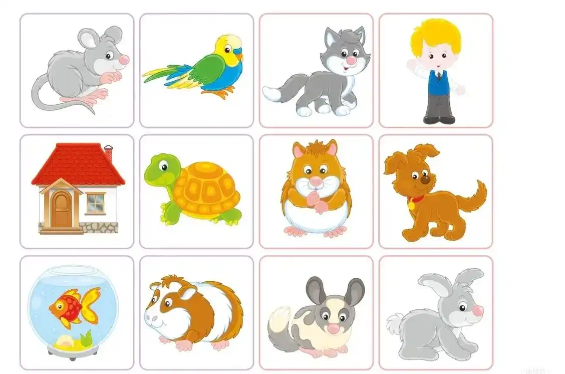 动物阴影配对罗辑思维