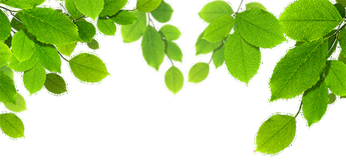 518_241gif 动态图 动图