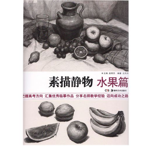 美术素描绘画技法教程参考书籍 教学主题 素描静物 水果篇