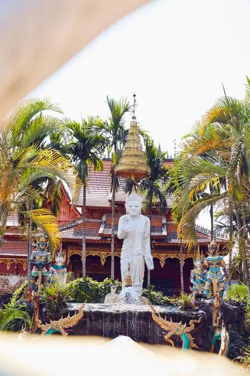 #微博旅行家##带着微博去旅行##西双版纳旅行#