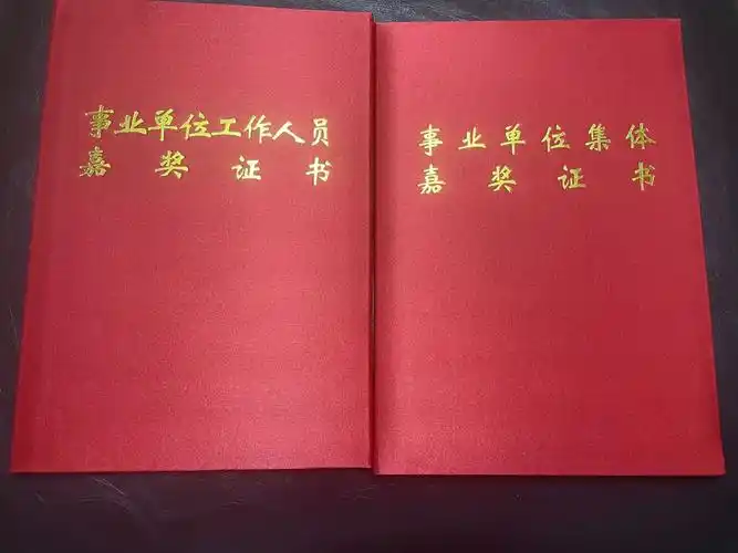 烫金事业单位集体嘉奖证书 工作人员嘉奖证书 企业证书个人先进